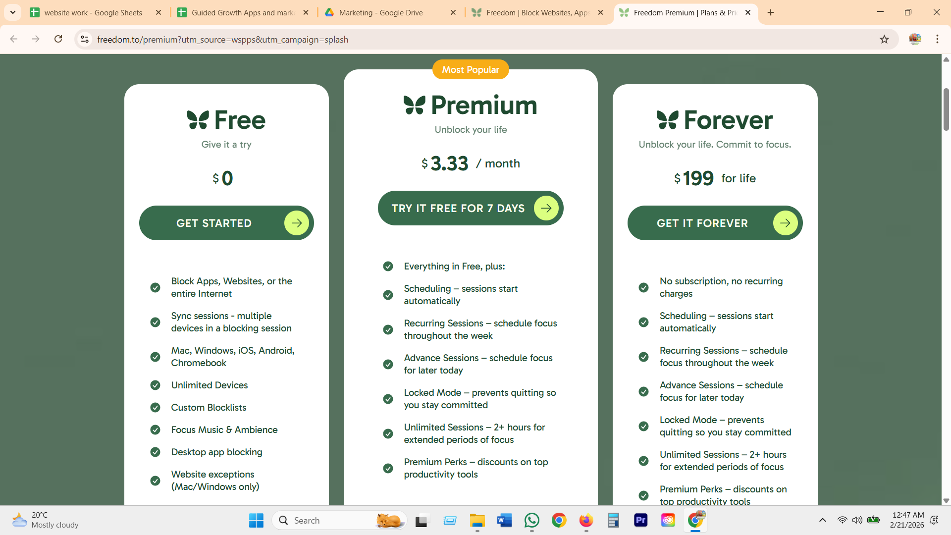Freedom Premium and Forever plans, $3.33 per month and $199 for life